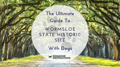 wormsloe state historic site dogs.